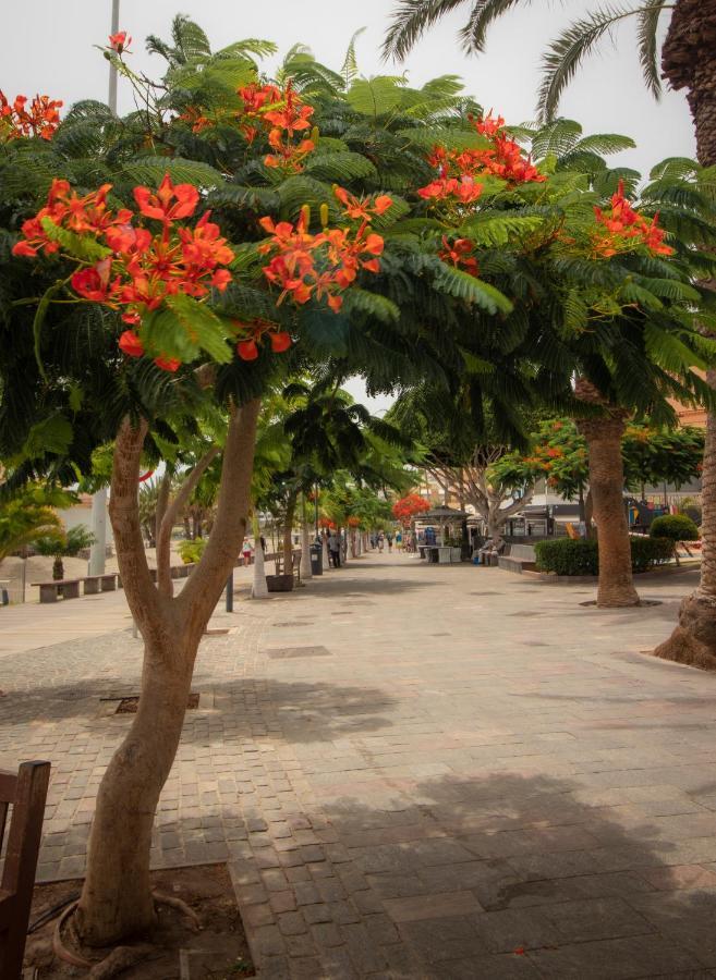 El Carmen Beach Apartment Los Cristianos  Eksteriør bilde